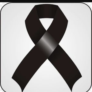 Meet your Posher, Elleanor